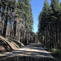 Backpacking zapadne pobrezie Sequoia park