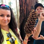 Backpacking zapadne pobrezie Sequoia park
